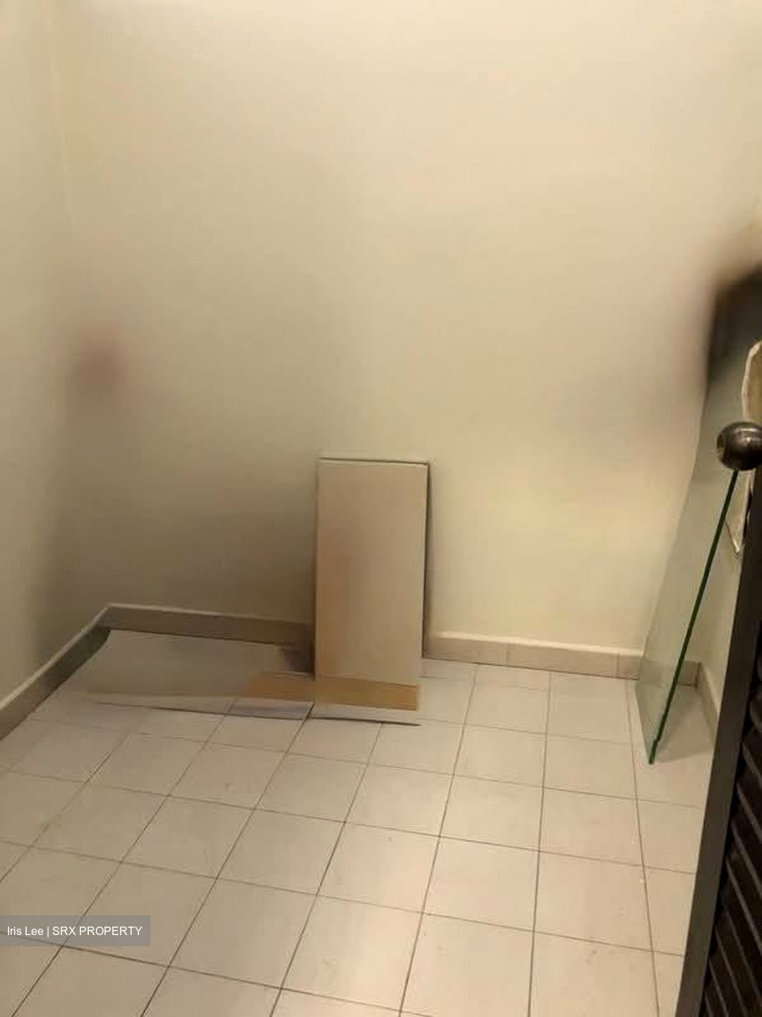 Villa Des Flores (D11), Condominium #617536401